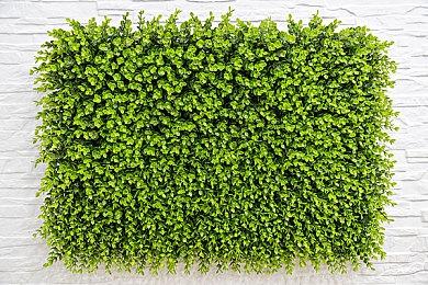 Denuvo公司称Steam论坛环境恶劣：玩家看不到D加密的好